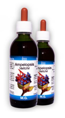 AMPELOPSIS VEITCHII MACERATO GLICERICO 50 ML