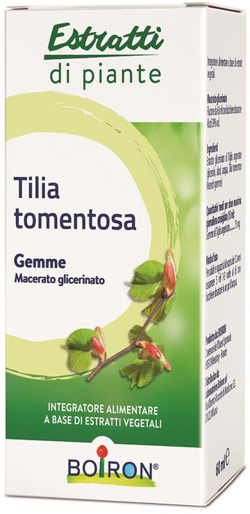 TILIA TOMENTOSA MACERATO GLICERICO 60 ML INT